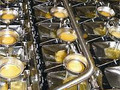 Оборудование для переработки яичного порошка OVODRYER